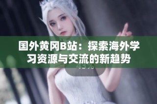 国外黄冈B站：探索海外学习资源与交流的新趋势
