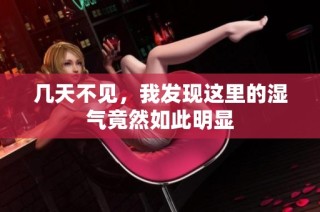 几天不见，我发现这里的湿气竟然如此明显