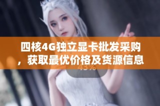 四核4G独立显卡批发采购，获取最优价格及货源信息