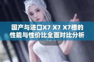 国产与进口X7 X7 X7槽的性能与性价比全面对比分析
