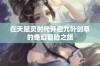 在天赋灵时代开启九叶剑草的奇幻冒险之旅