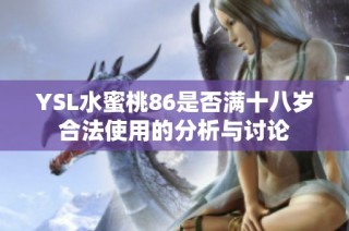 YSL水蜜桃86是否满十八岁合法使用的分析与讨论
