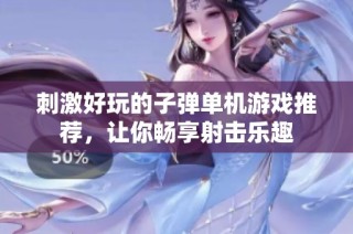 刺激好玩的子弹单机游戏推荐，让你畅享射击乐趣
