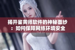 揭开鉴黄师软件的神秘面纱：如何保障网络环境安全