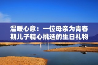 温暖心意：一位母亲为青春期儿子精心挑选的生日礼物
