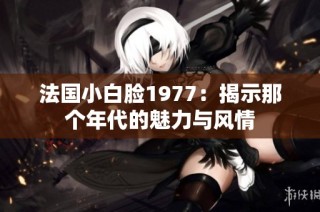 法国小白脸1977：揭示那个年代的魅力与风情