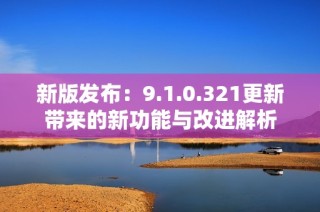 新版发布：9.1.0.321更新带来的新功能与改进解析