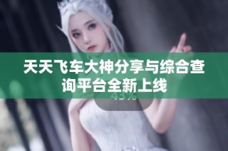 天天飞车大神分享与综合查询平台全新上线
