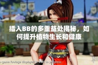 插入BB的多重益处揭秘，如何提升植物生长和健康