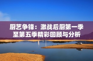厨艺争锋：激战后厨第一季至第五季精彩回顾与分析