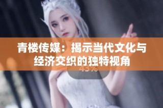 青楼传媒：揭示当代文化与经济交织的独特视角