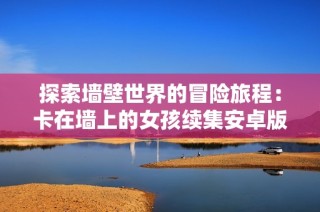 探索墙壁世界的冒险旅程：卡在墙上的女孩续集安卓版下载