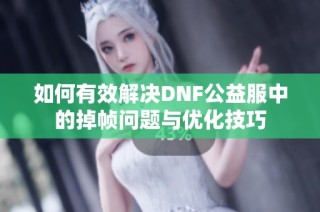 如何有效解决DNF公益服中的掉帧问题与优化技巧