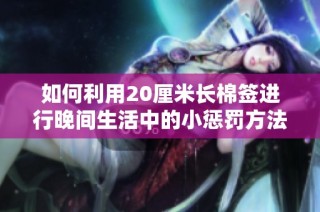 如何利用20厘米长棉签进行晚间生活中的小惩罚方法解析