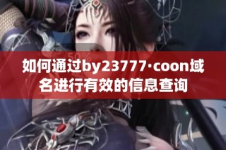 如何通过by23777·coon域名进行有效的信息查询