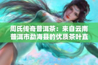 周氏传奇普洱茶：来自云南普洱市勐海县的优质茶叶直供