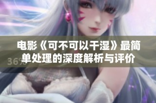电影《可不可以干湿》最简单处理的深度解析与评价