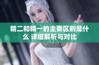 精二和精一的主要区别是什么 详细解析与对比