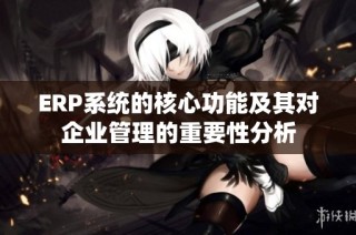 ERP系统的核心功能及其对企业管理的重要性分析