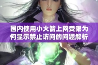 国内使用小火箭上网受限为何显示禁止访问的问题解析