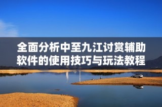 全面分析中至九江讨赏辅助软件的使用技巧与玩法教程