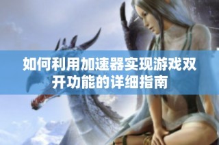 如何利用加速器实现游戏双开功能的详细指南
