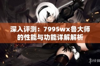 深入评测：7995wx鲁大师的性能与功能详解解析