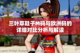 三叶草鞋子M码与欧洲码的详细对比分析与解读