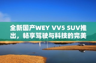 全新国产WEY VV5 SUV推出，畅享驾驶与科技的完美融合