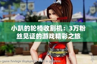 小趴的轮椅收割机：3万粉丝见证的游戏精彩之旅