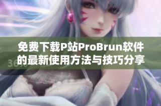免费下载P站ProBrun软件的最新使用方法与技巧分享