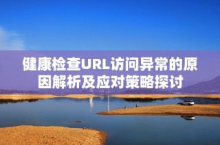 健康检查URL访问异常的原因解析及应对策略探讨