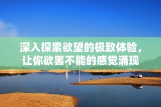 深入探索欲望的极致体验，让你欲罢不能的感觉涌现