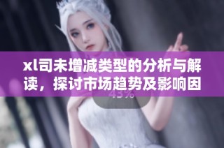 xl司未增减类型的分析与解读，探讨市场趋势及影响因素