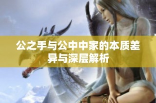 公之手与公中中家的本质差异与深层解析