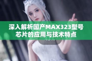 深入解析国产MAX323型号芯片的应用与技术特点