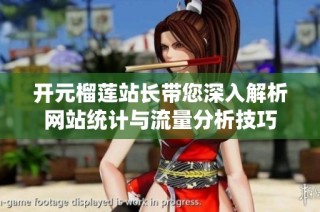 开元榴莲站长带您深入解析网站统计与流量分析技巧