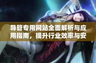 导管专用网站全面解析与应用指南，提升行业效率与安全