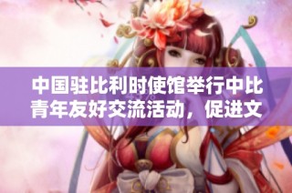 中国驻比利时使馆举行中比青年友好交流活动，促进文化理解与合作
