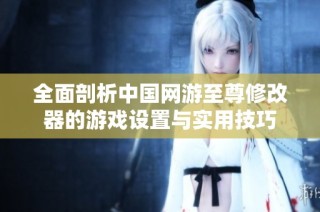 全面剖析中国网游至尊修改器的游戏设置与实用技巧