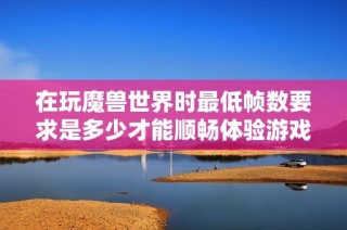 在玩魔兽世界时最低帧数要求是多少才能顺畅体验游戏