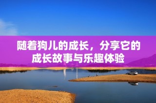 随着狗儿的成长，分享它的成长故事与乐趣体验