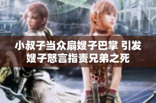 小叔子当众扇嫂子巴掌 引发嫂子怒言指责兄弟之死