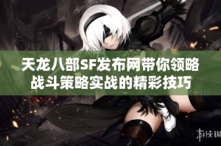 天龙八部SF发布网带你领略战斗策略实战的精彩技巧