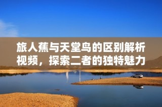 旅人蕉与天堂鸟的区别解析视频，探索二者的独特魅力与特征