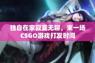 独自在家寂寞无聊，来一场CSGO游戏打发时间