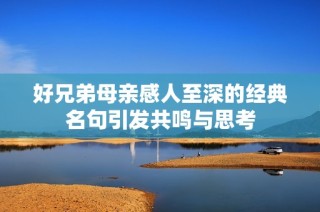 好兄弟母亲感人至深的经典名句引发共鸣与思考