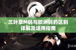 三叶草M码与欧洲码的区别详解及适用指南