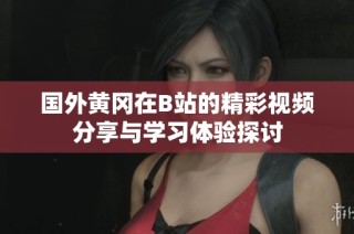 国外黄冈在B站的精彩视频分享与学习体验探讨