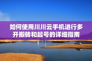 如何使用川川云手机进行多开搬砖和起号的详细指南